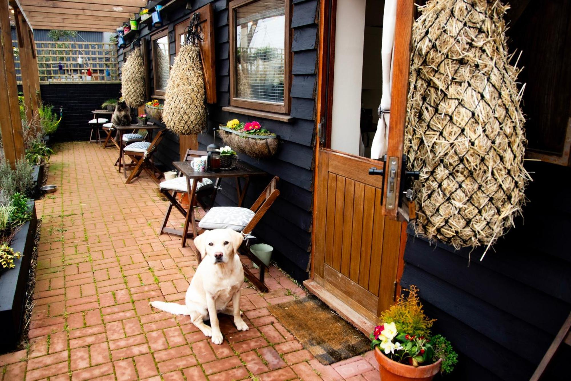 Norfolk Accommodation Heacham Εξωτερικό φωτογραφία