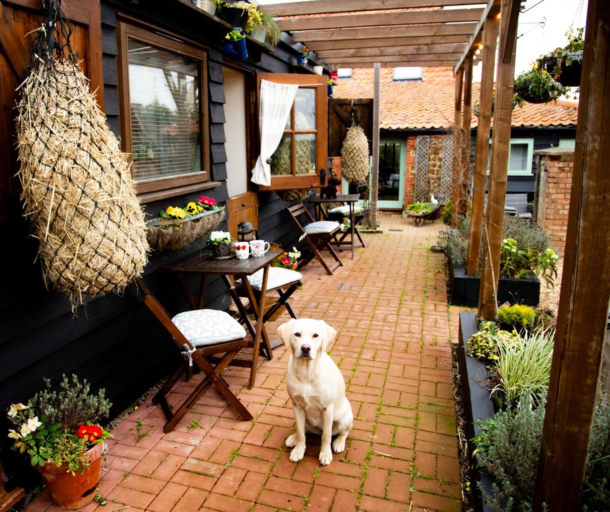 Norfolk Accommodation Heacham Εξωτερικό φωτογραφία