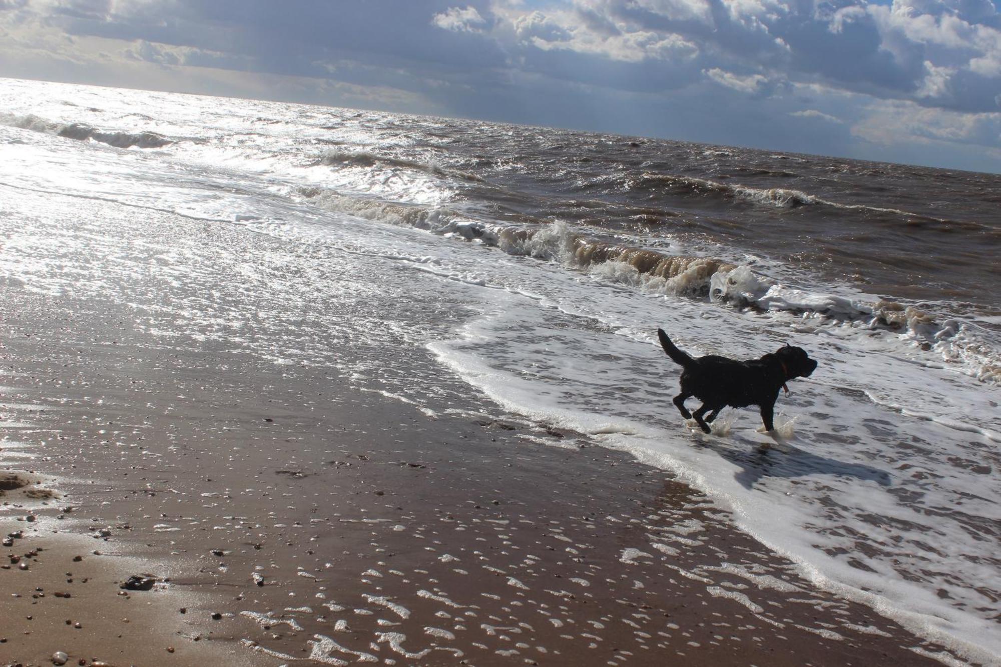 Norfolk Accommodation Heacham Εξωτερικό φωτογραφία