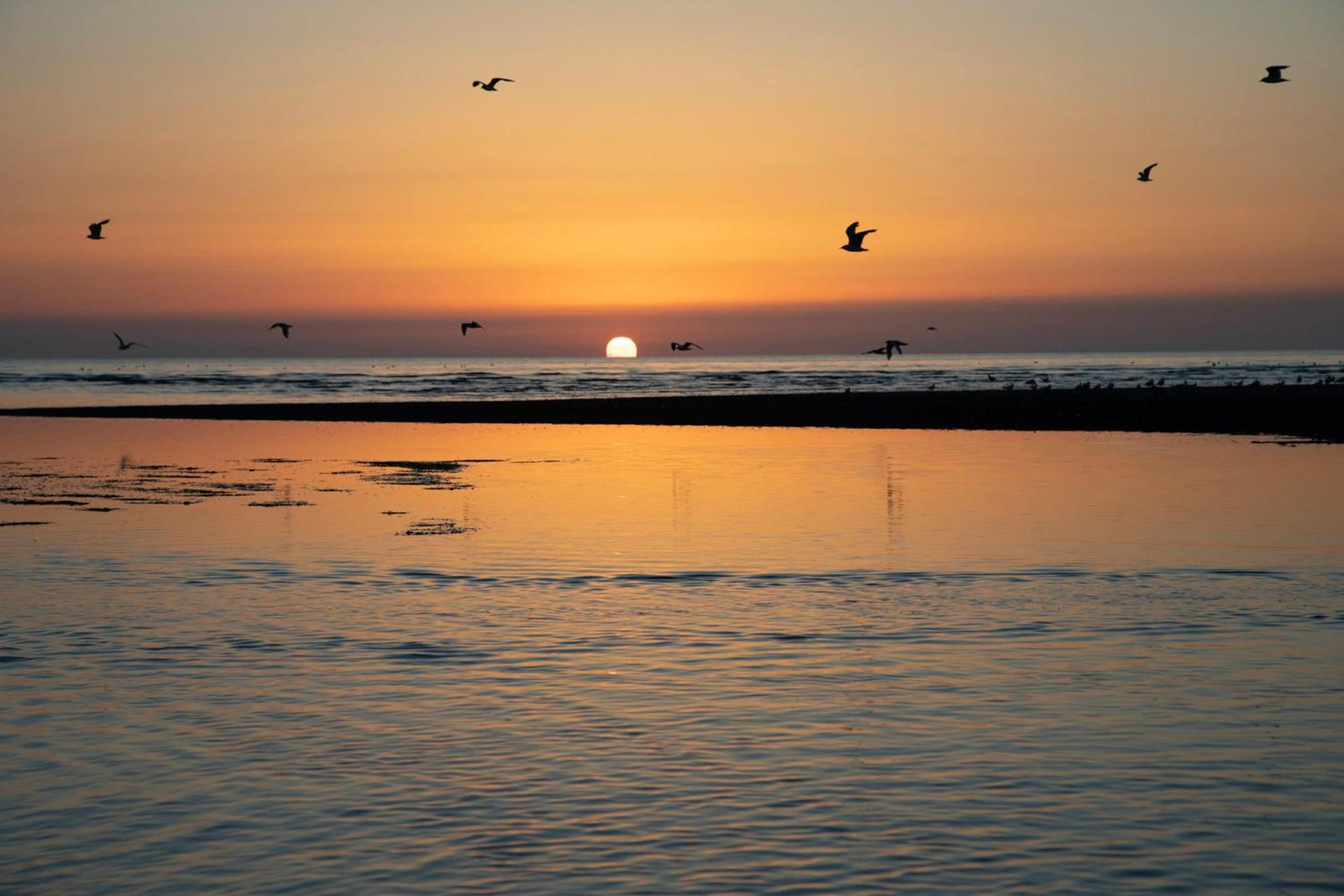 Norfolk Accommodation Heacham Εξωτερικό φωτογραφία