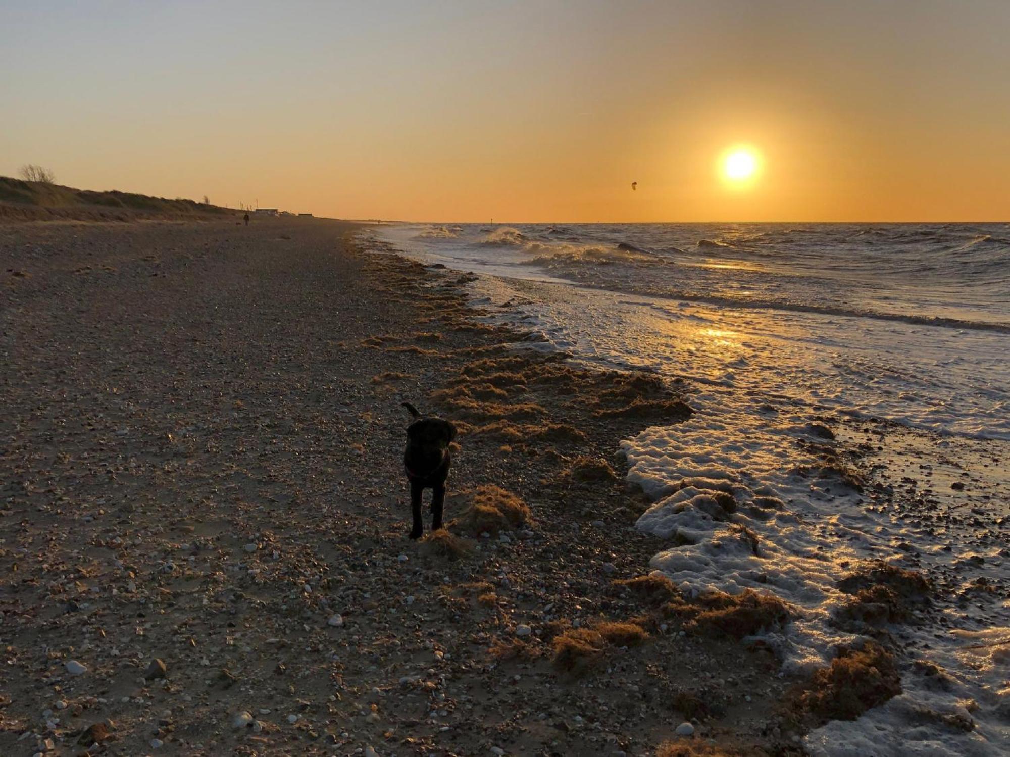 Norfolk Accommodation Heacham Εξωτερικό φωτογραφία